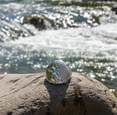 Silver Stone Set Ring | Salacia