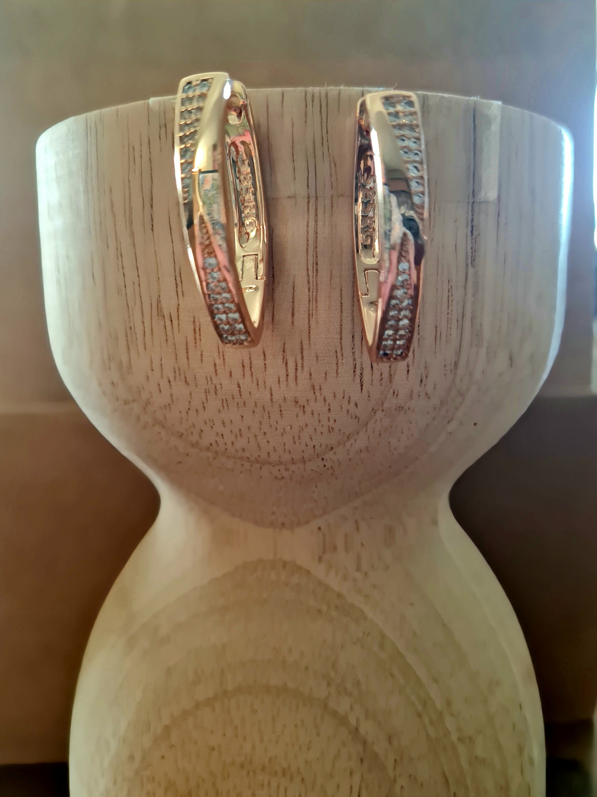 Elongated Crystal Encrusted Earrings